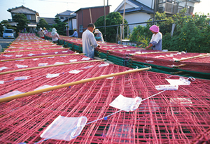 2. Seeding to nets